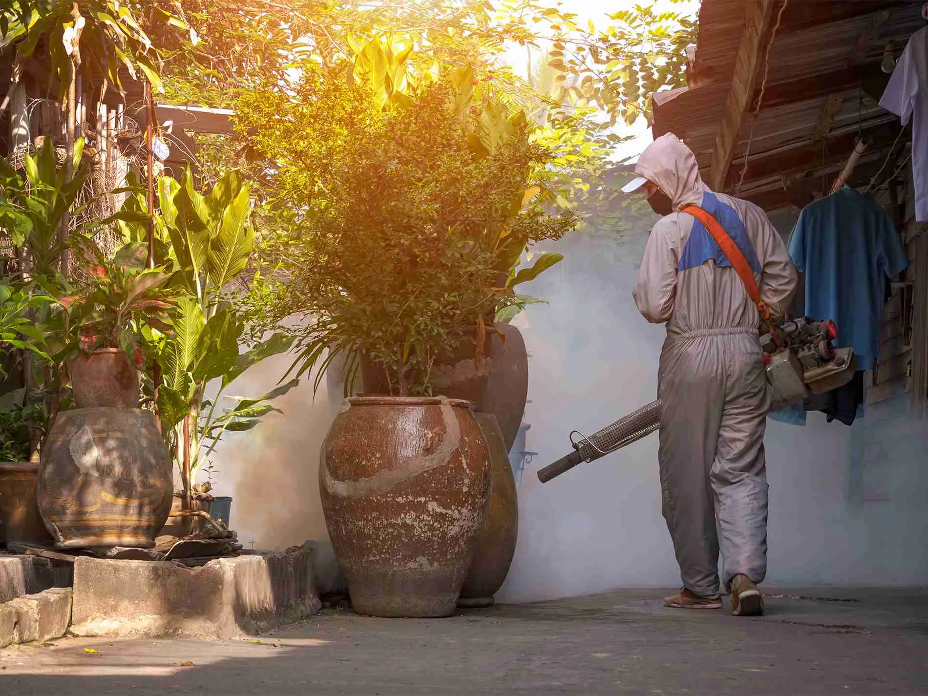 Pest Control Olympia Bigfoot Pest Management