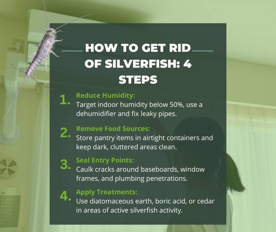 An instructional graphic titled "How to Get Rid of Silverfish: 4 Steps" outlines methods for reducing humidity, removing food sources, sealing entry points, and applying treatments like diatomaceous earth or cedar.