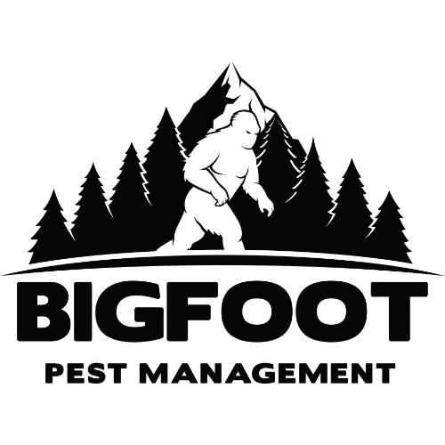 Bigfoot-sq