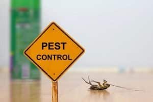 Local Pest Control card