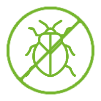 icon no stinkbug