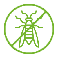 no flying insects icon