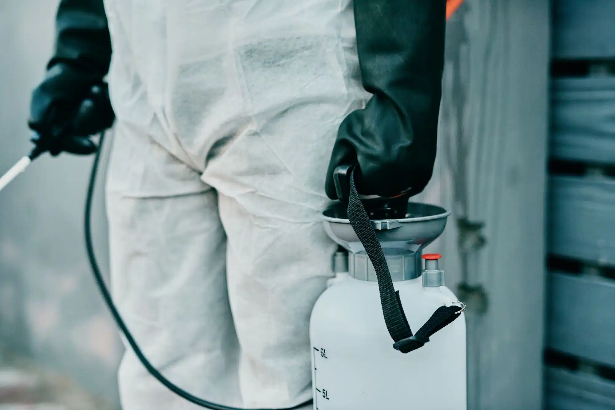 protective-suited-worker-disinfecting-area Shows a midsection view of a worker wearing a white protective suit and heavy black gloves while holding a portable chemical pump sprayer tank and its attached spray wand.