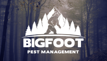 Pest Control in Olympia WA